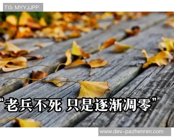 晋级战易建联似梦回当年老兵不死只是逐渐凋零 晋级战易建联似梦回当年老兵不死只是逐渐凋零