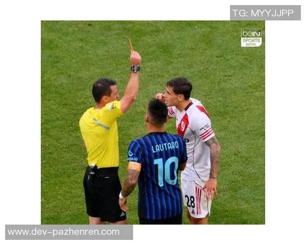 王哲林冲突引发风波,场边怒踢设施导致巨额罚款 王哲林冲突引发风波,场边怒踢设施导致巨额罚款